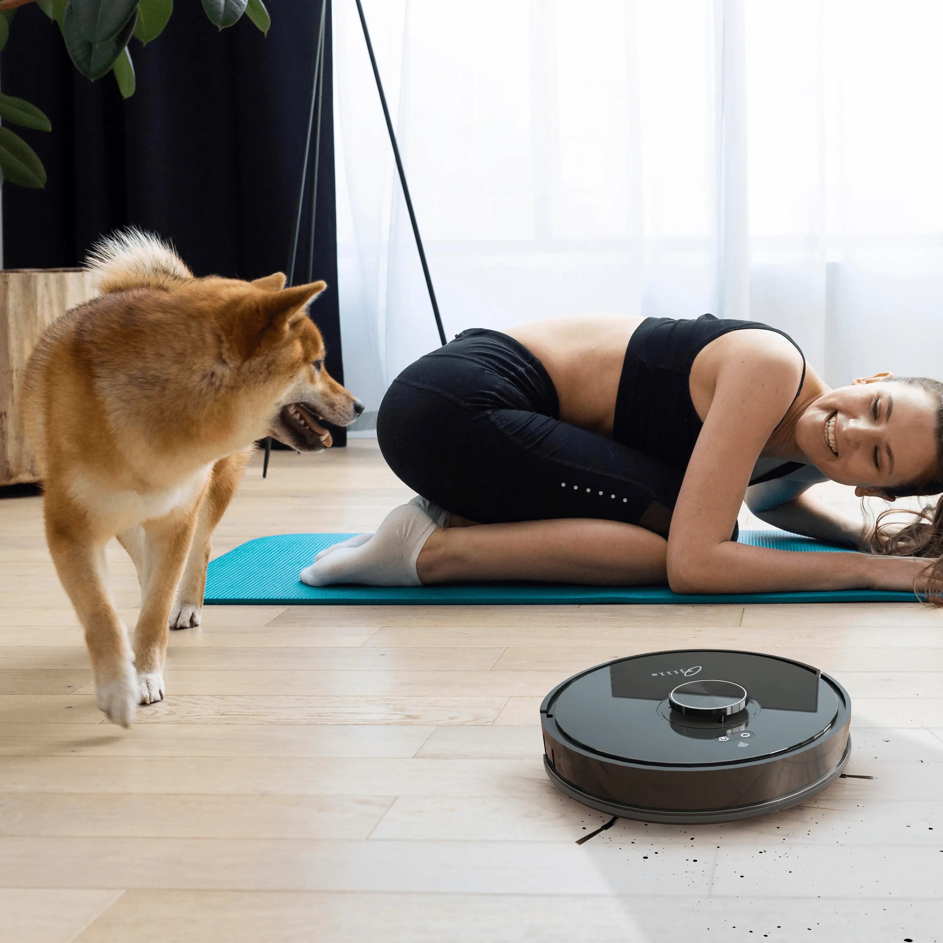 Robotstofzuiger voor huisdier haren