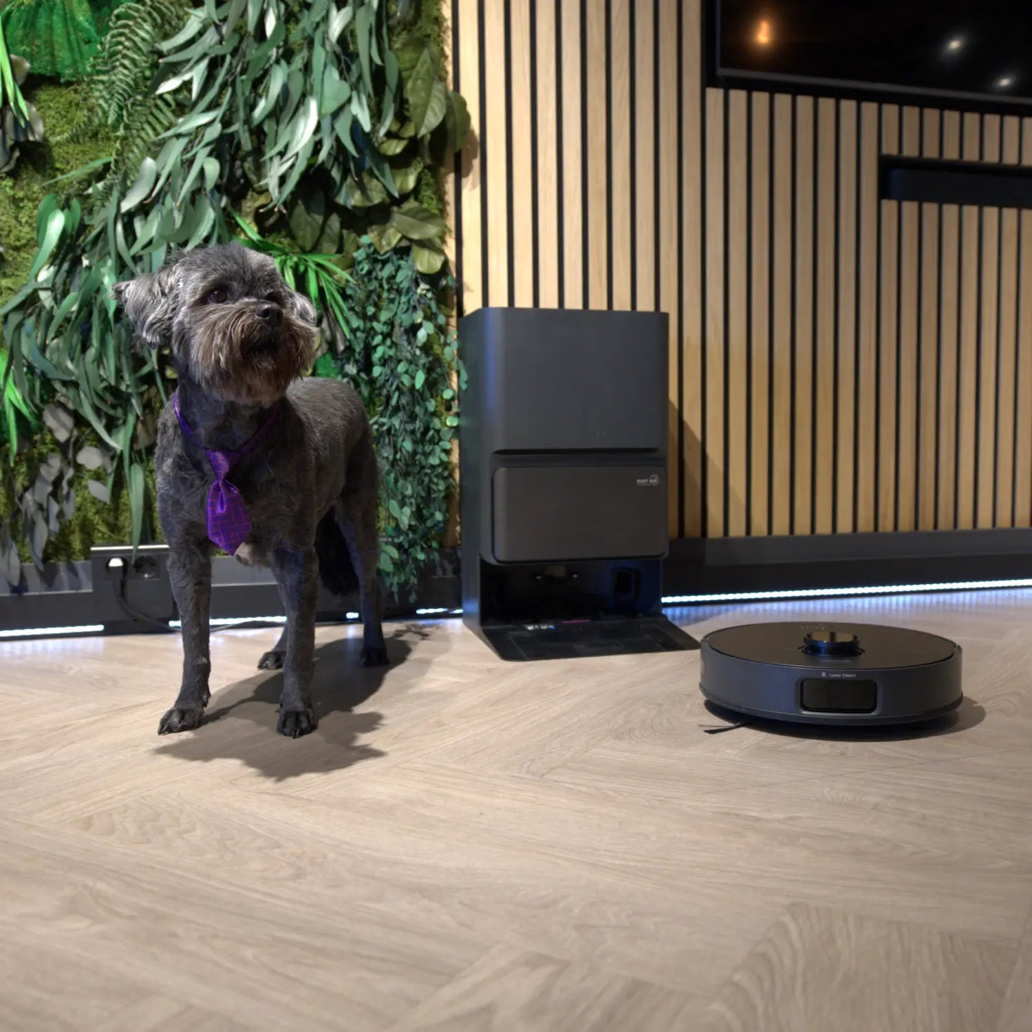 robotstofzuiger voor dierenharen