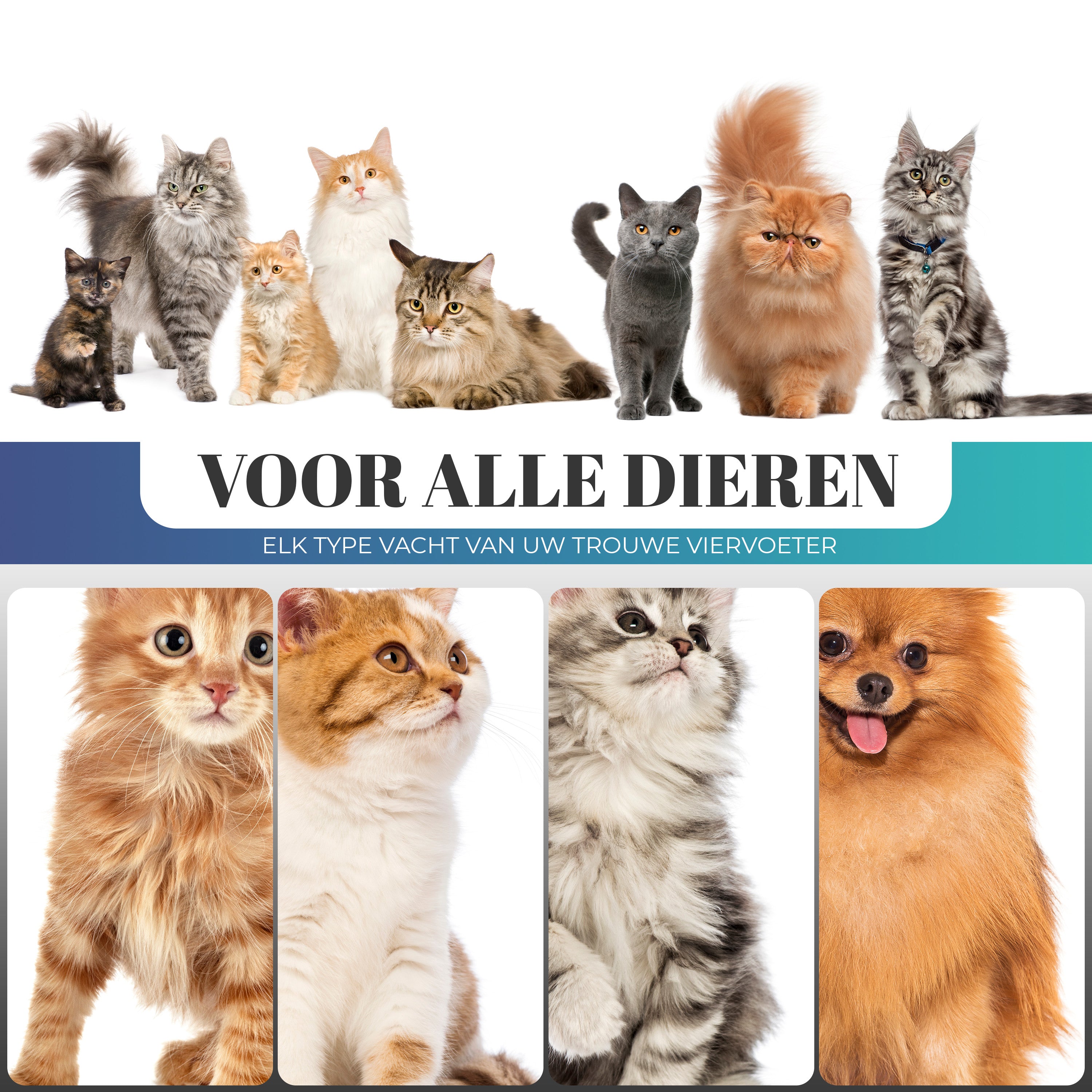 Dierentondeuse voor alle huisdieren en vachten.