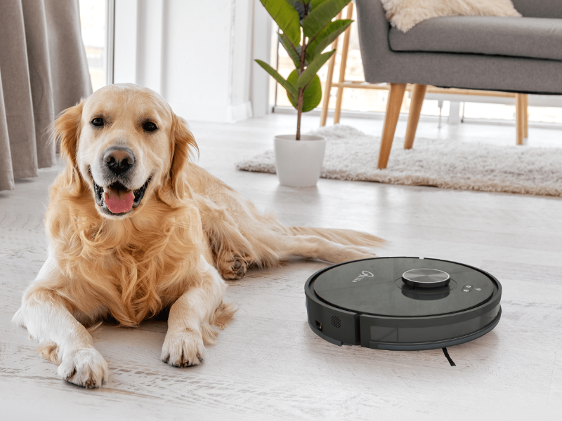 Beste robotstofzuiger voor dierenharen 2026