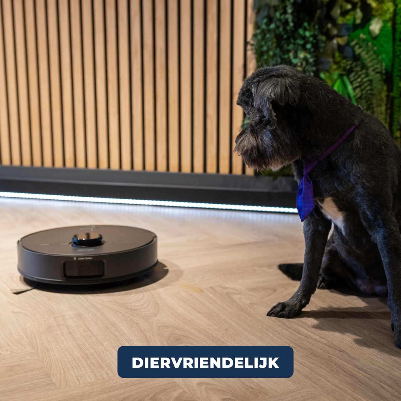 Tjilla C200 Robotstofzuiger met dweilfunctie